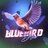 Bluebird Draw